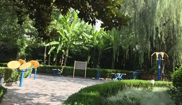 王妃跟我回家